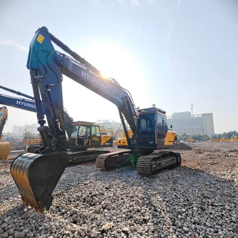 Hyundai 220HS image 3